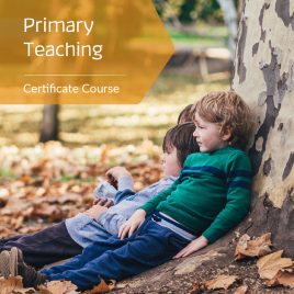 Steiner Education Primary Teaching – Certificate PTC