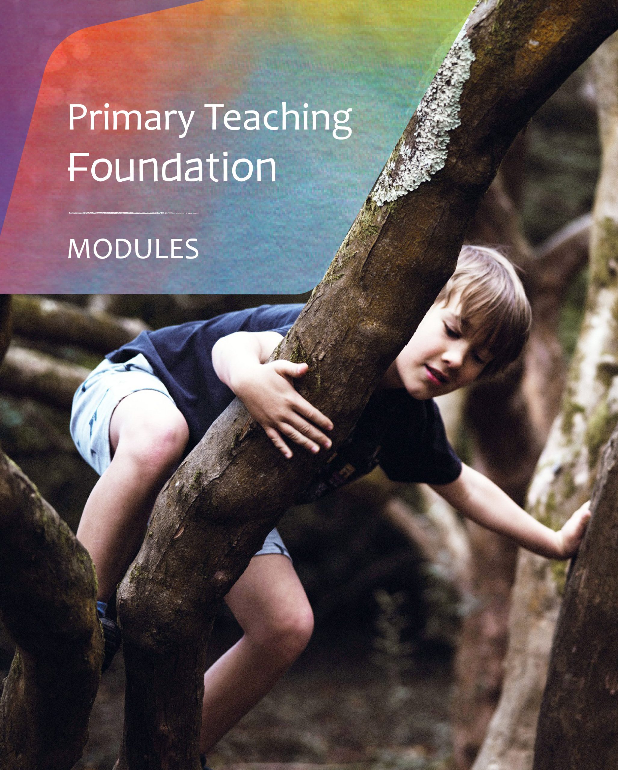 Steiner education primary elementary teacher training modular training program