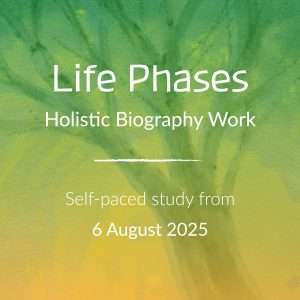 Life Phases - Online Course