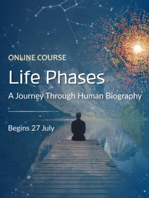 Life Phases