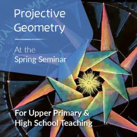 Projective Geometry Workshop