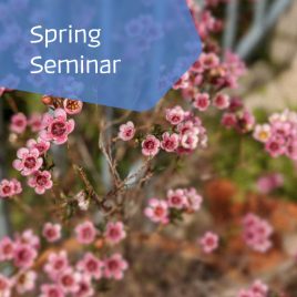 Spring Seminar – Casual Enrolments