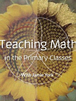 Teaching Maths in the Primary Classes