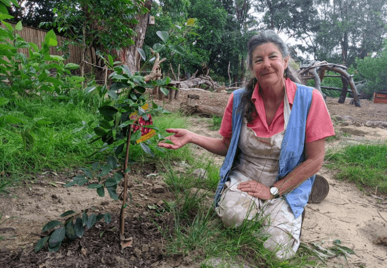 Biodynamic Gardening with Children