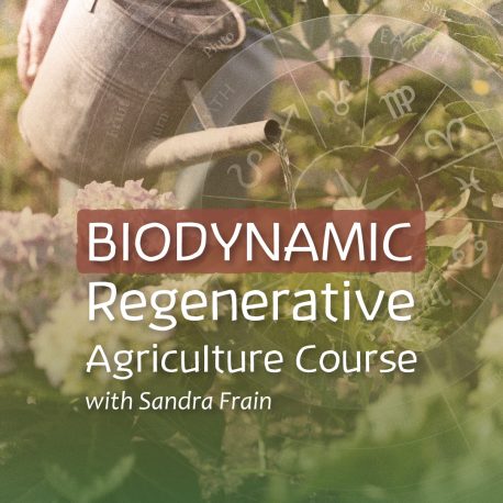 Biodynamic regenerative agriculture course