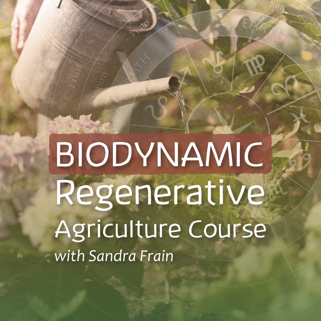 Biodynamic Regenerative Agriculture – Sydney Rudolf Steiner College