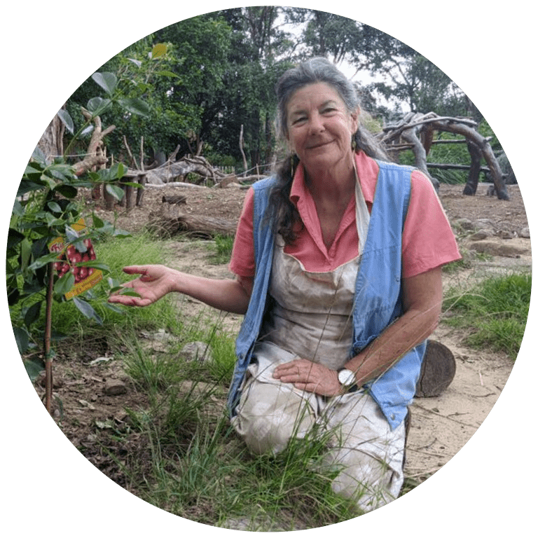 Biodynamic Regenerative Agriculture – Sydney Rudolf Steiner College