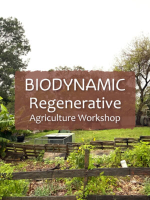 Biodynamic Workshops