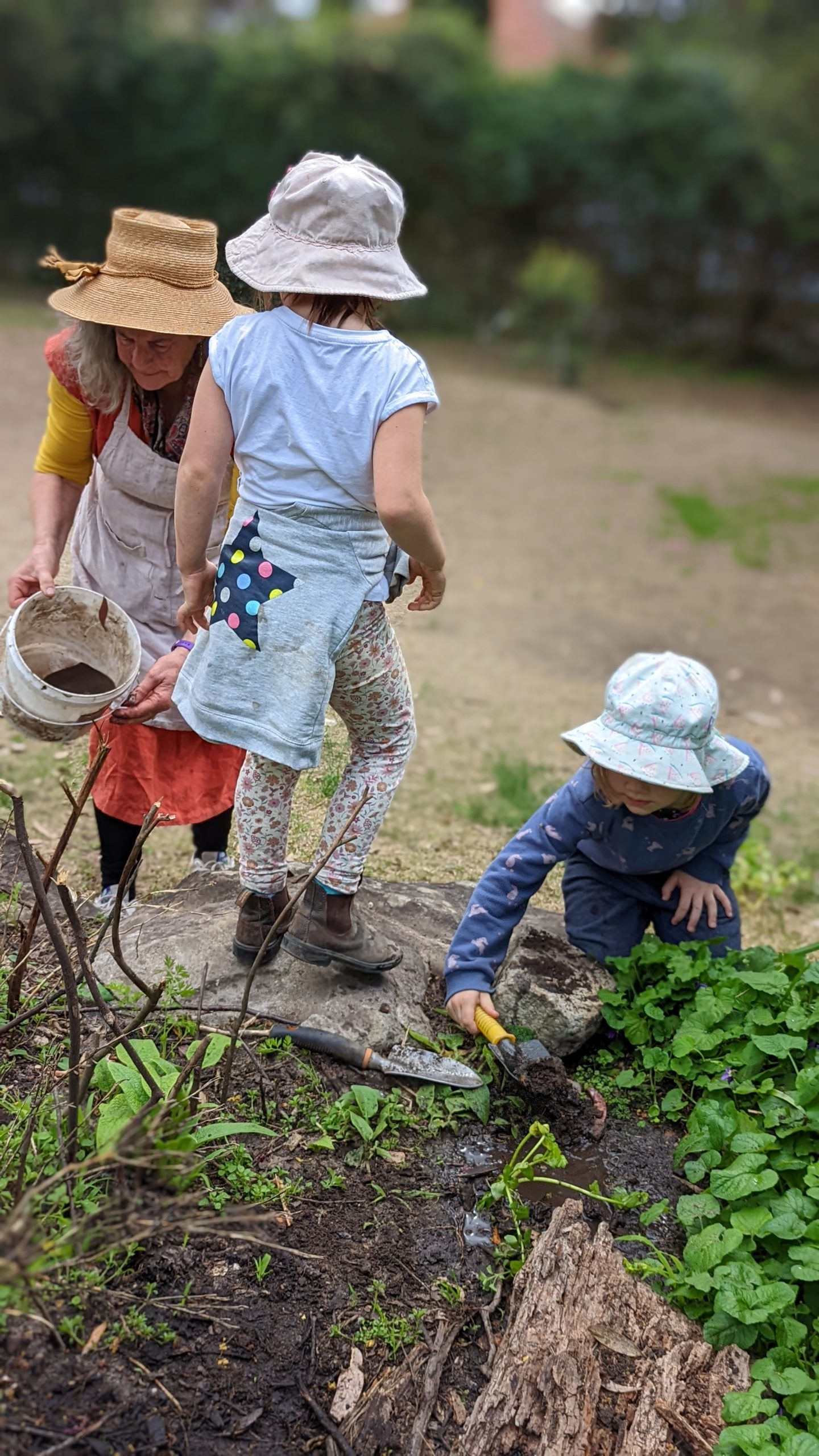 Biodynamic Regenerative Agriculture – Sydney Rudolf Steiner College