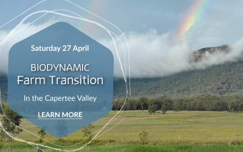 Biodynamic regenerative agriculture farm transition event in the capertee valley Lithgow