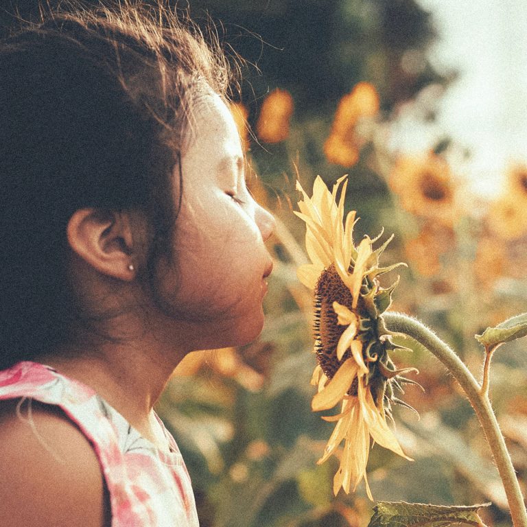 More than Five Senses:  Rethinking How Children Learn